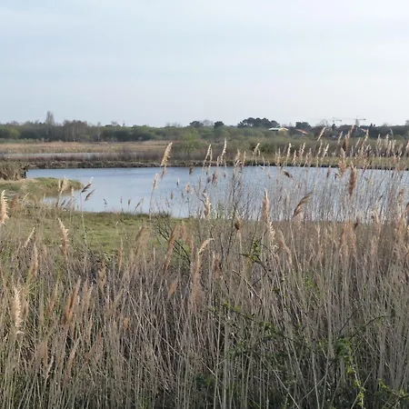 Classe 3 Etoiles A 200m Du Bassin D Arcachon Avec 2 Vtt A Disposition *