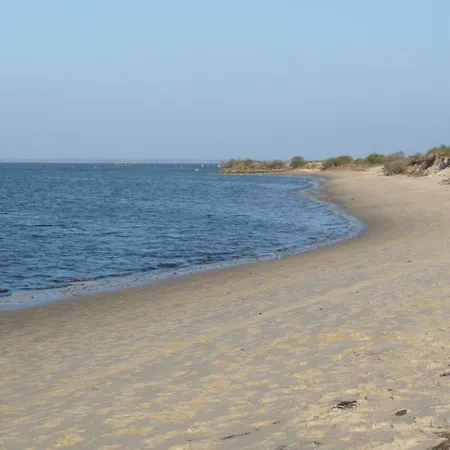 Classe 3 Etoiles A 200m Du Bassin D Arcachon Avec 2 Vtt A Disposition * La Teste-de-Buch