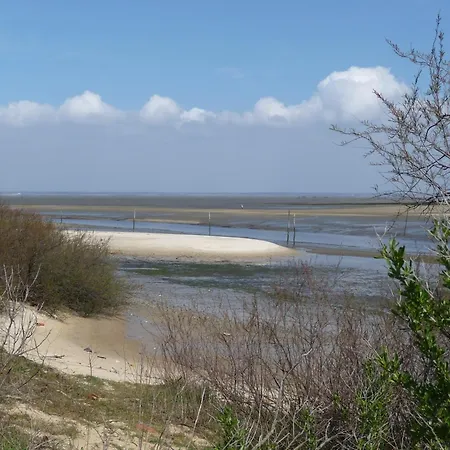 Classe 3 Etoiles A 200m Du Bassin D Arcachon Avec 2 Vtt A Disposition *